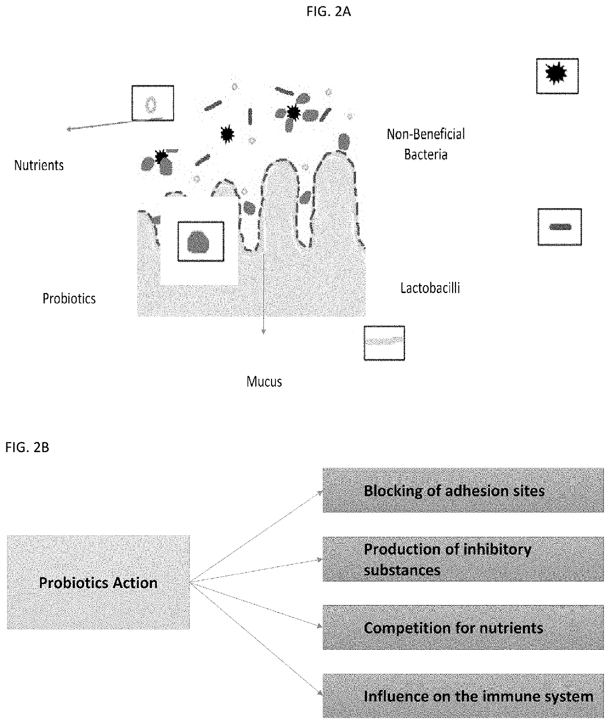 Animal feed stock using microbial enhancement