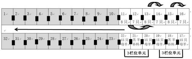 Sheep flock circulation method for large-scale sheep farm