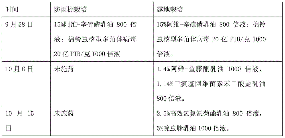 Chinese flowering cabbage cultivation method capable of reducing pesticide dosage