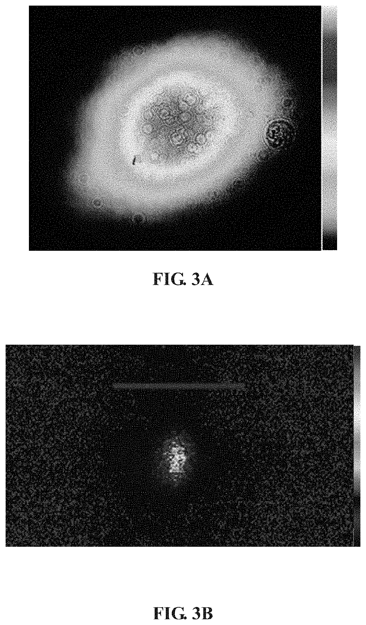 Single shot autocorrelator for measuring the duration of an ultrashort pulse in the far field