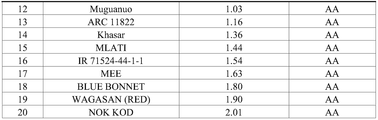 SNP (single nucleotide polymorphism) molecular markers related to salt tolerance and hypoxia tolerance of rice and application of SNP molecular markers