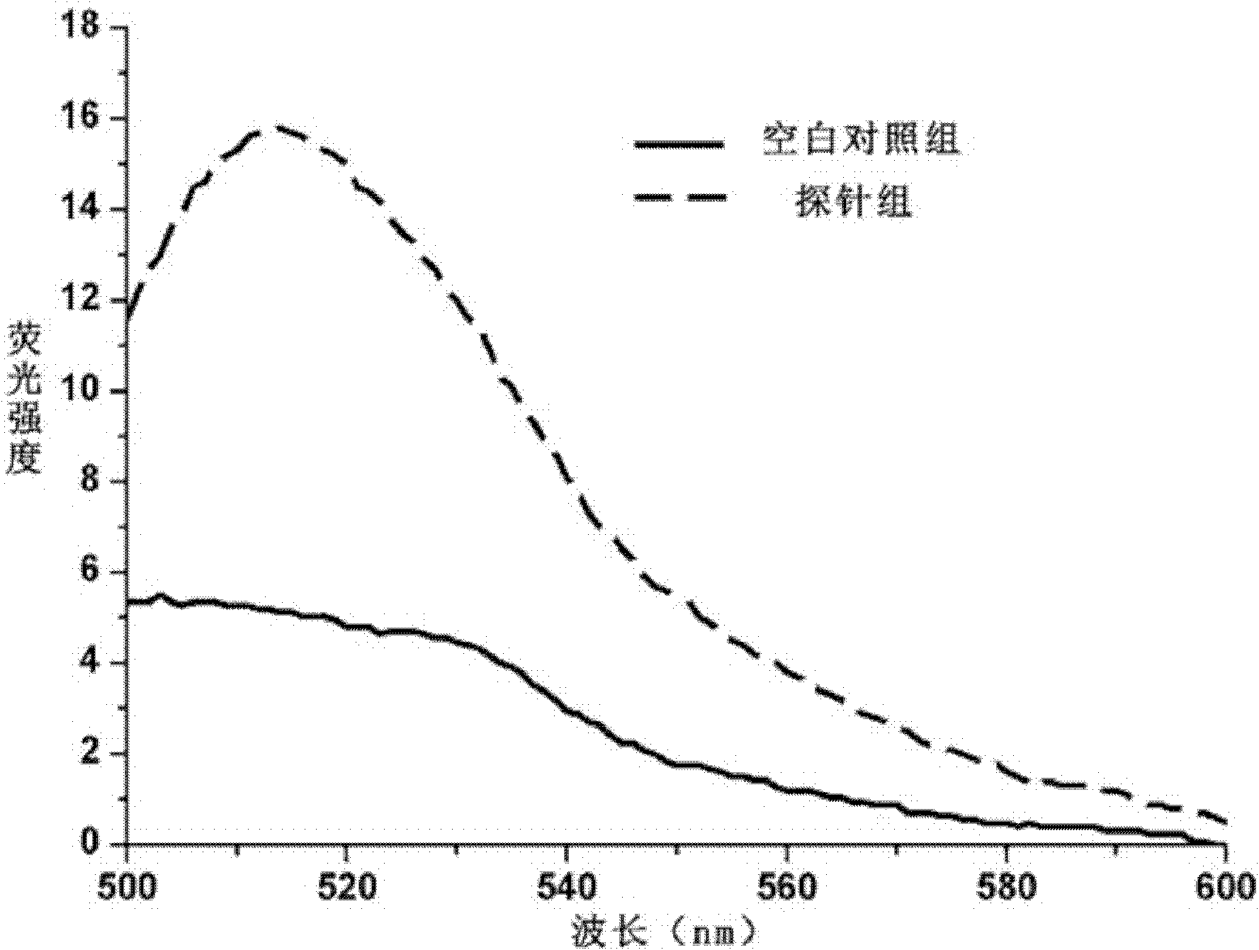 Probe for detecting nucleic acid in living cells and application method thereof