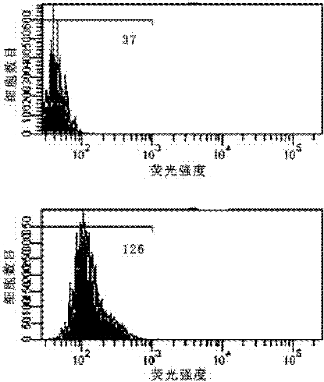 Probe for detecting nucleic acid in living cells and application method thereof