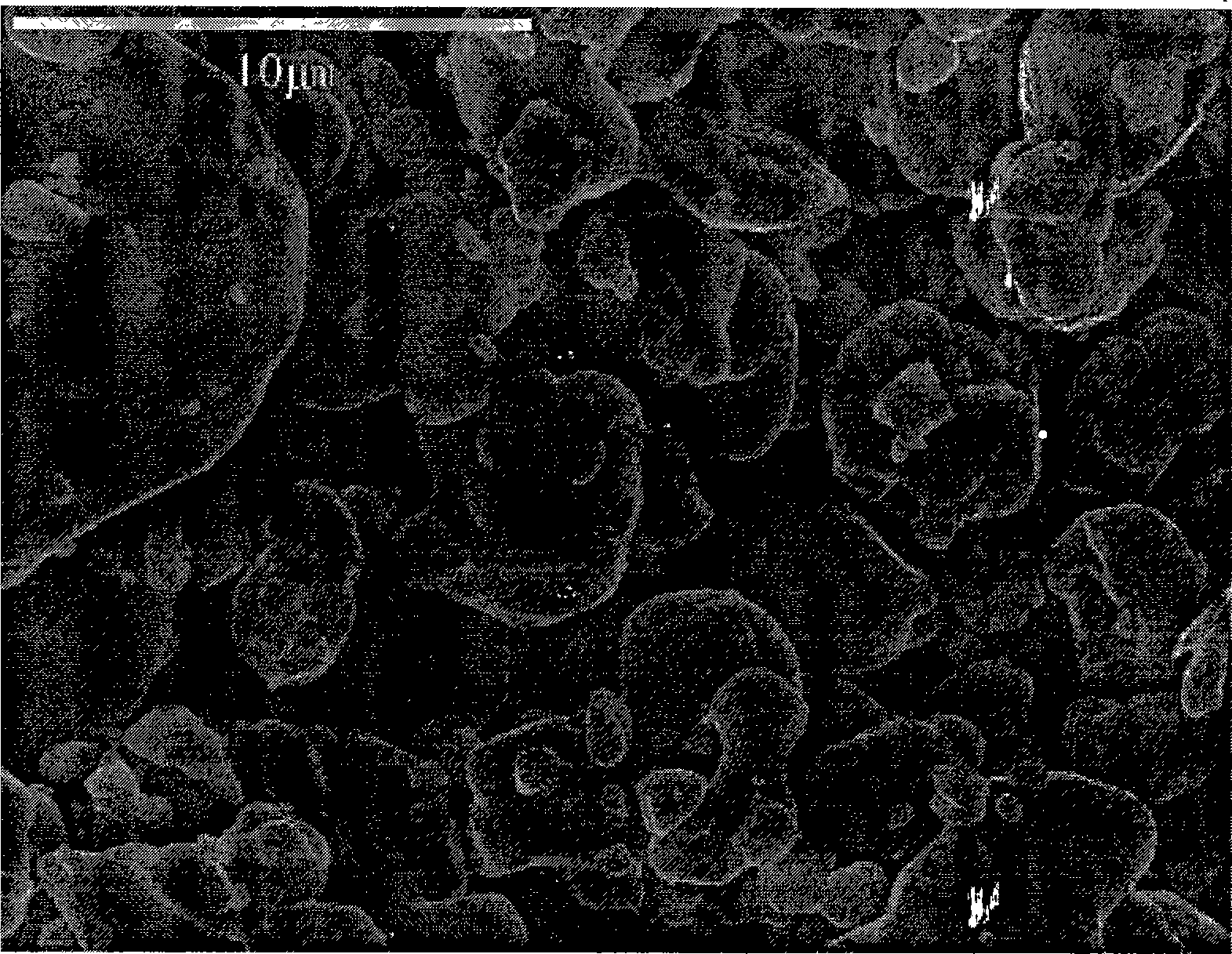 Method for recovering and preparing lithium cobaltate from waste lithium ionic cell