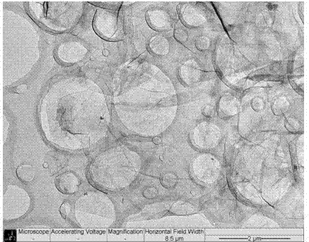 Functional graphene and preparation method as well as application thereof to graphene /non-polar polymer composite material