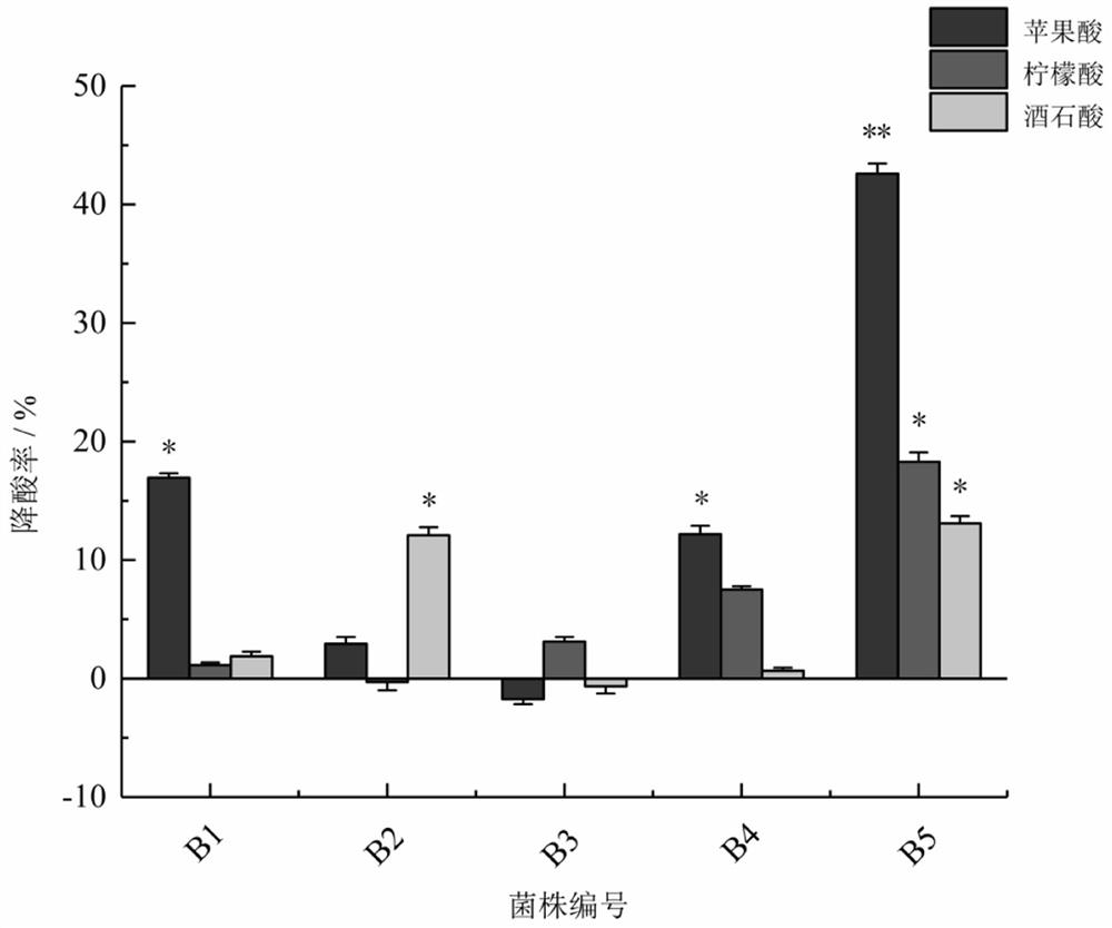 Saccharomyces strain for degrading organic acids and application of saccharomyces strain