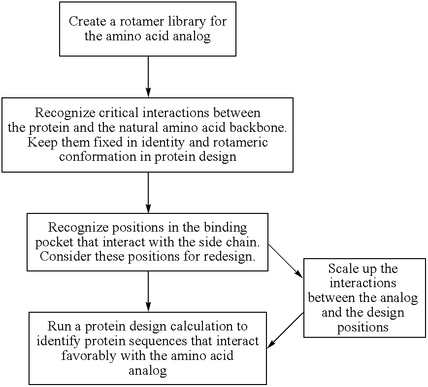 Computational method for designing enzymes for incorporation of amino acid analogs into proteins