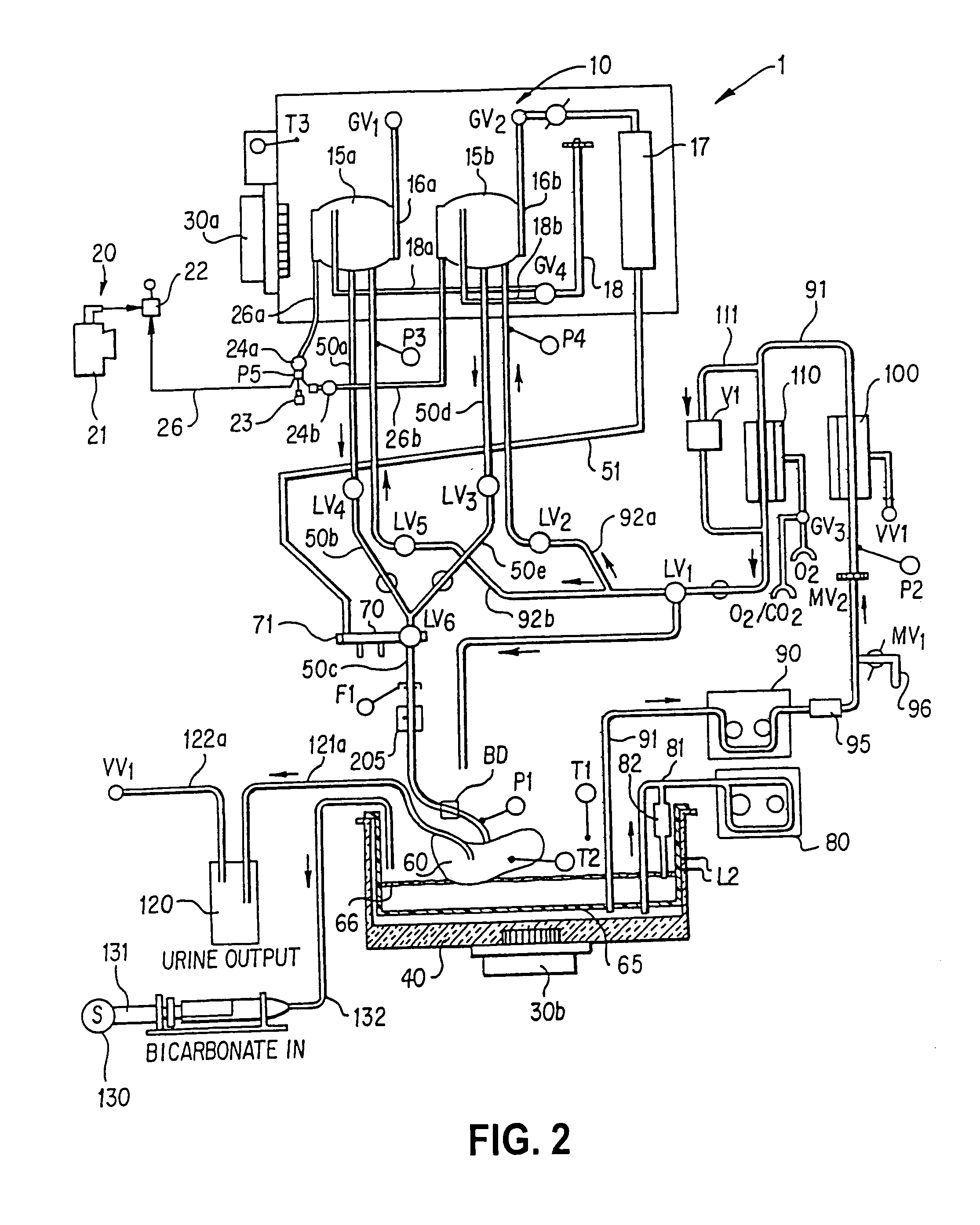 Method for perfusing an organ and for isolating cells from the organ