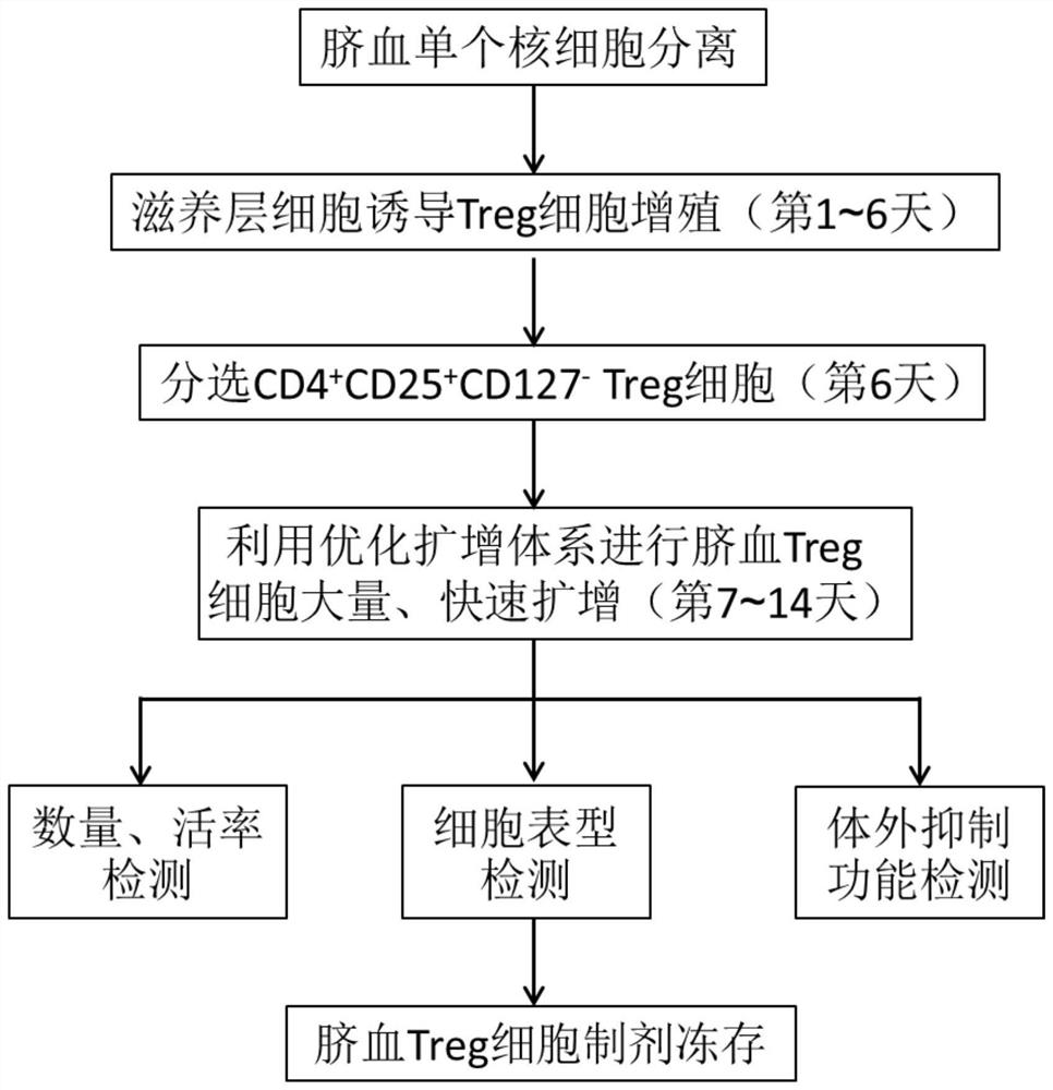 A method and application of umbilical cord blood Treg cell expansion in vitro based on trophoblast cells