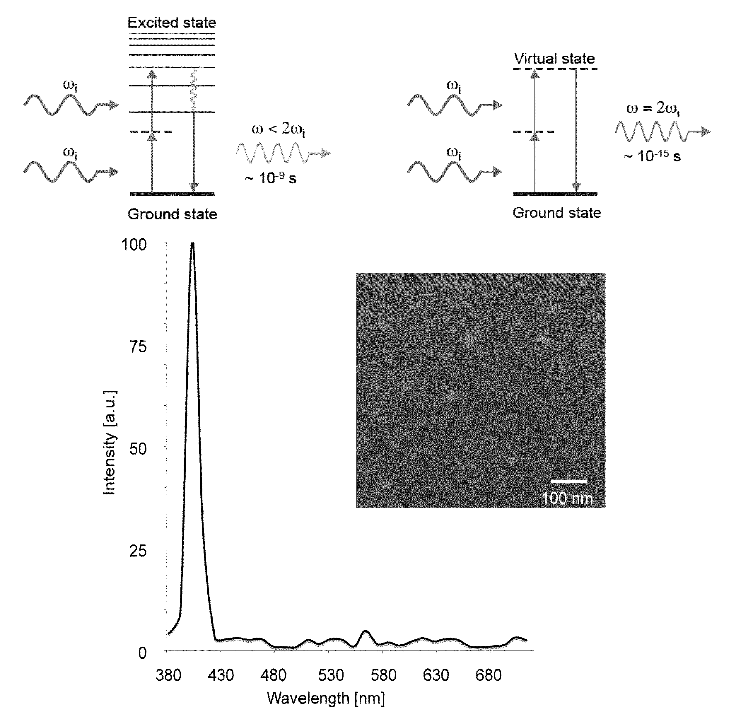 Multipurpose analysis using second harmonic generating nanoprobes