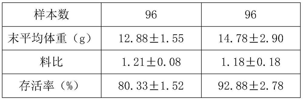 Artificial compound feed for improving disease resistance of misgurnus anguillicaudatus, and application of artificial compound feed