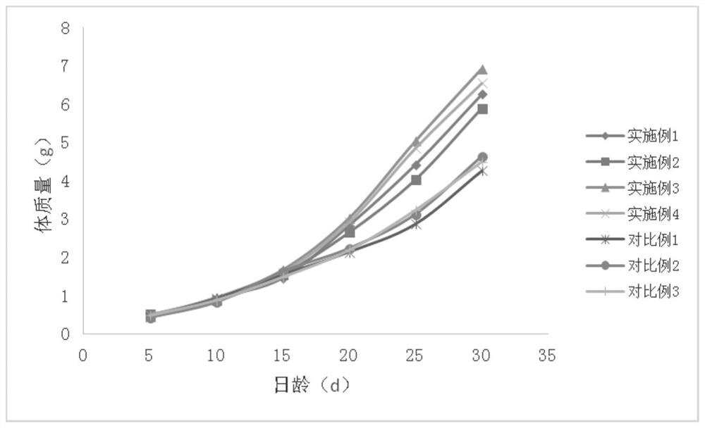 A kind of outdoor artificial breeding method of snapper