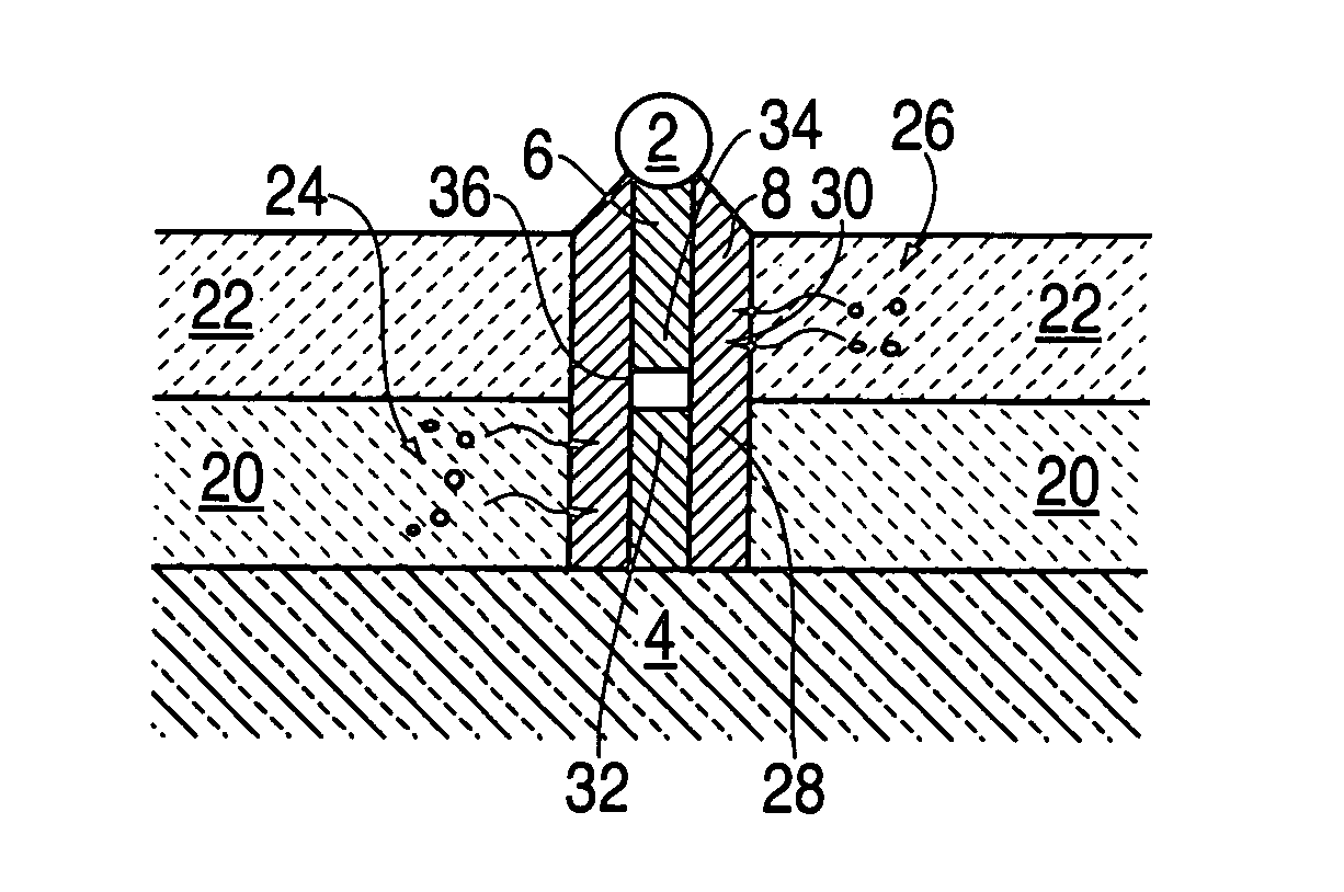 Nanowhiskers with PN junctions, doped nanowhiskers, and methods for preparing them