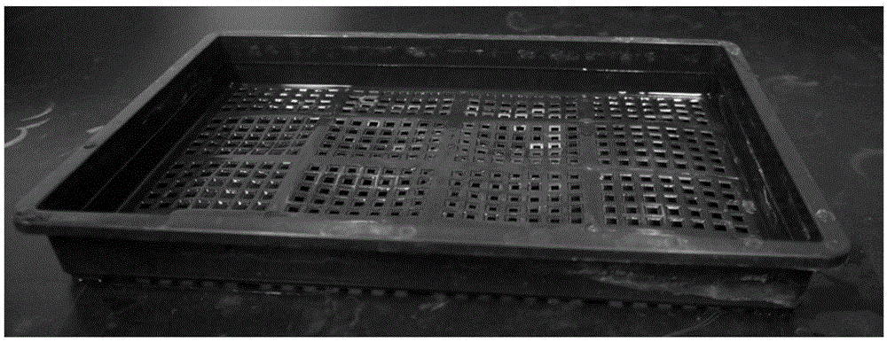 Root-washing method and application of a kind of substrate-raised seedlings