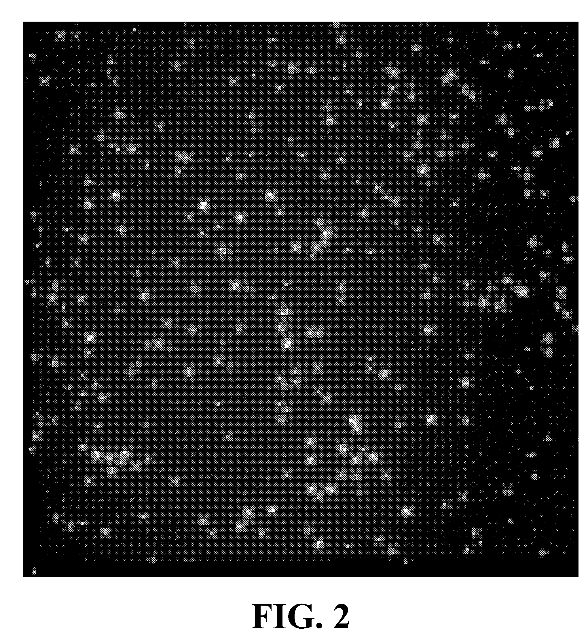 Method for analyzing dynamic detectable events at the single molecule level