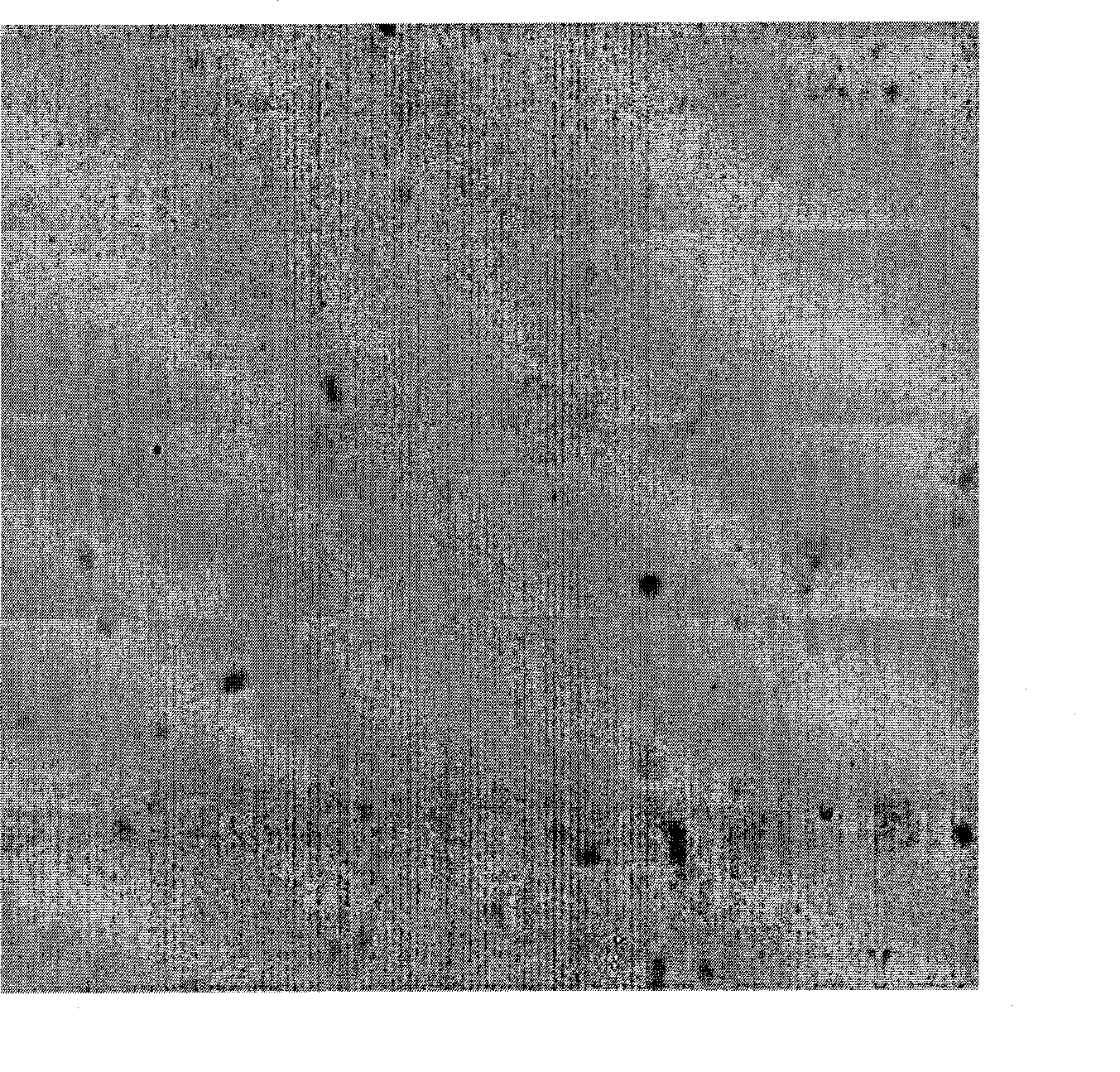 Detection kit for HCCR gene nucleic acid hybridization in situ, detection method and uses thereof