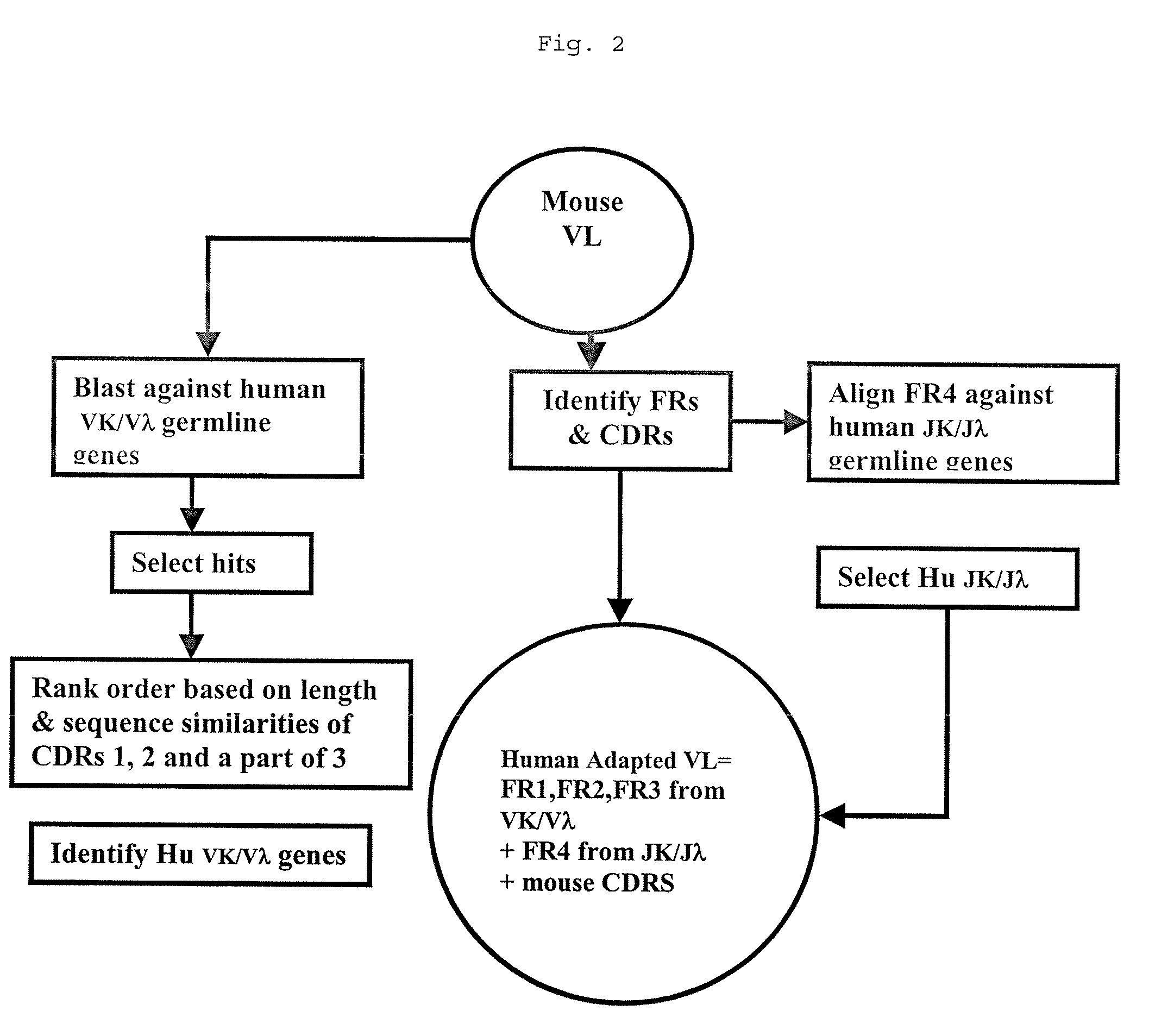 Methods for Use in Human-Adapting Monoclonal Antibodies