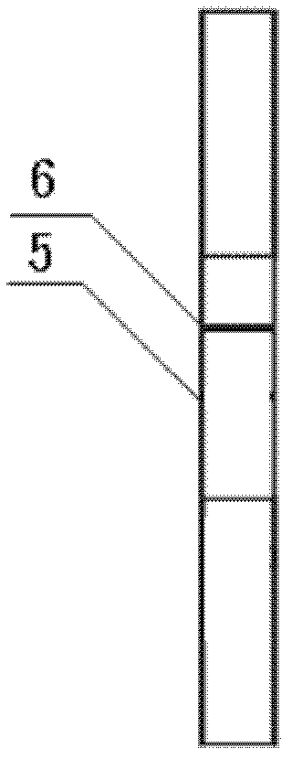 Magnetic lateral flow immunoassay for rapid detection of TTX and preparation of detection test strip