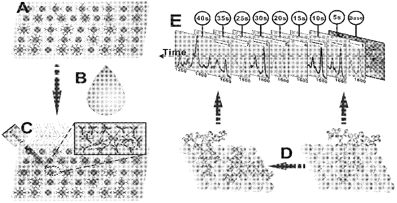 Dynamic Surface Enhanced Raman Spectroscopy Detection Method