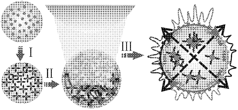 Dynamic Surface Enhanced Raman Spectroscopy Detection Method