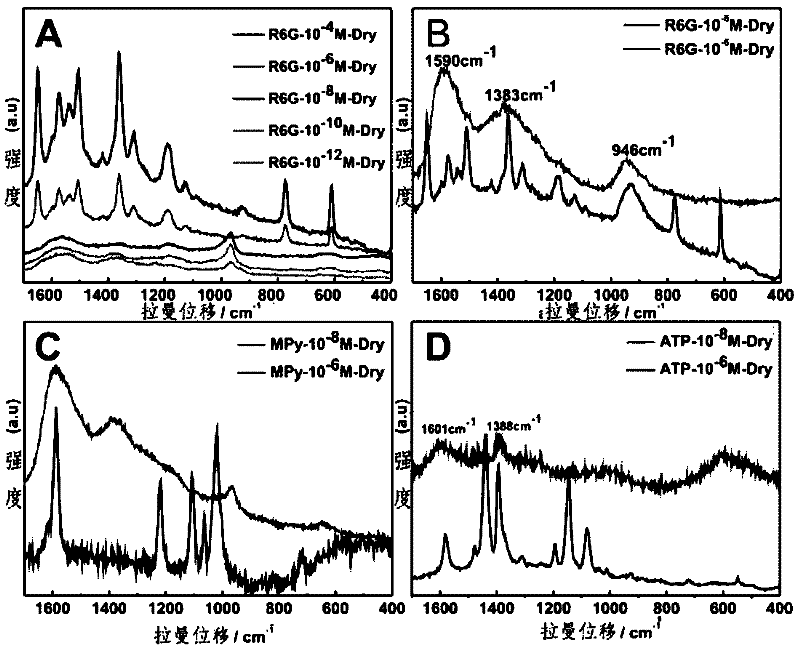 Dynamic Surface Enhanced Raman Spectroscopy Detection Method