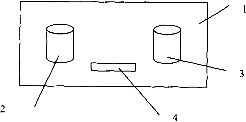 Reagent kid for self collecting oral mucosa cell and nucleic acid pre-extracting and stablizing storage