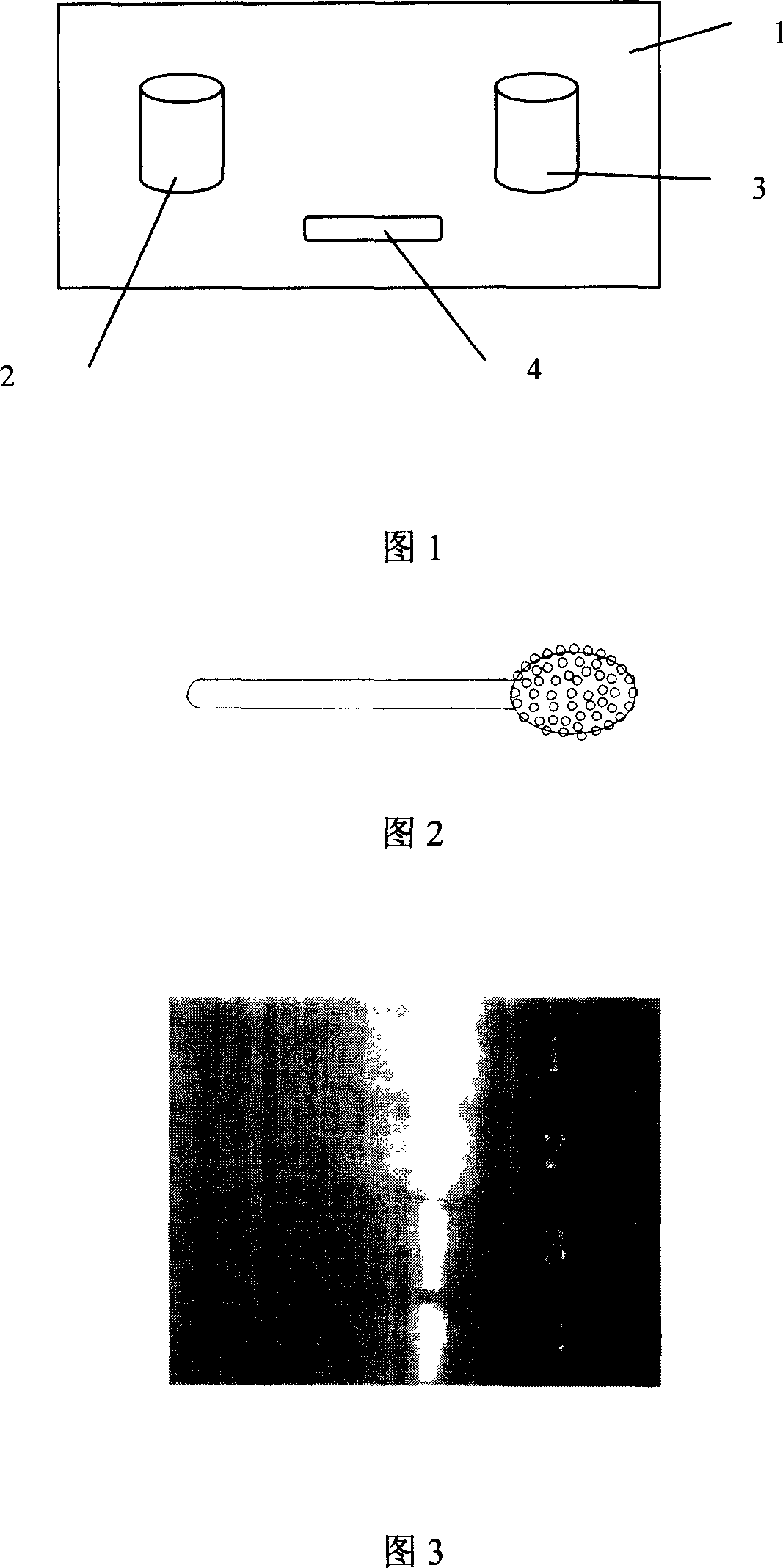 Reagent kid for self collecting oral mucosa cell and nucleic acid pre-extracting and stablizing storage