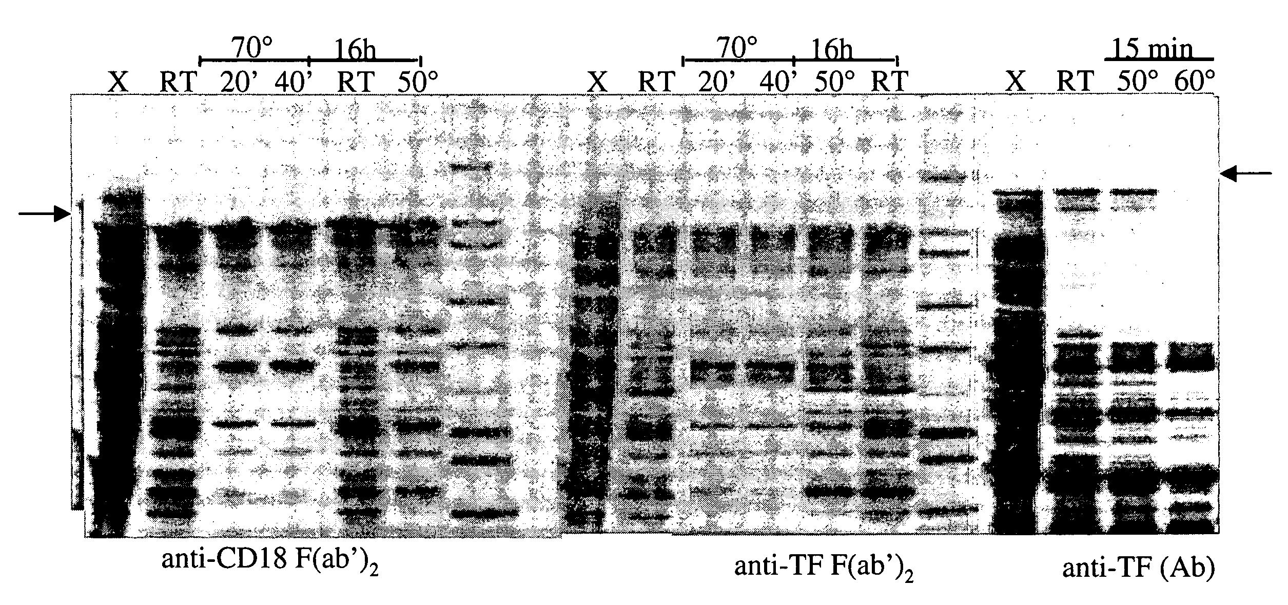 Purification of polypeptides