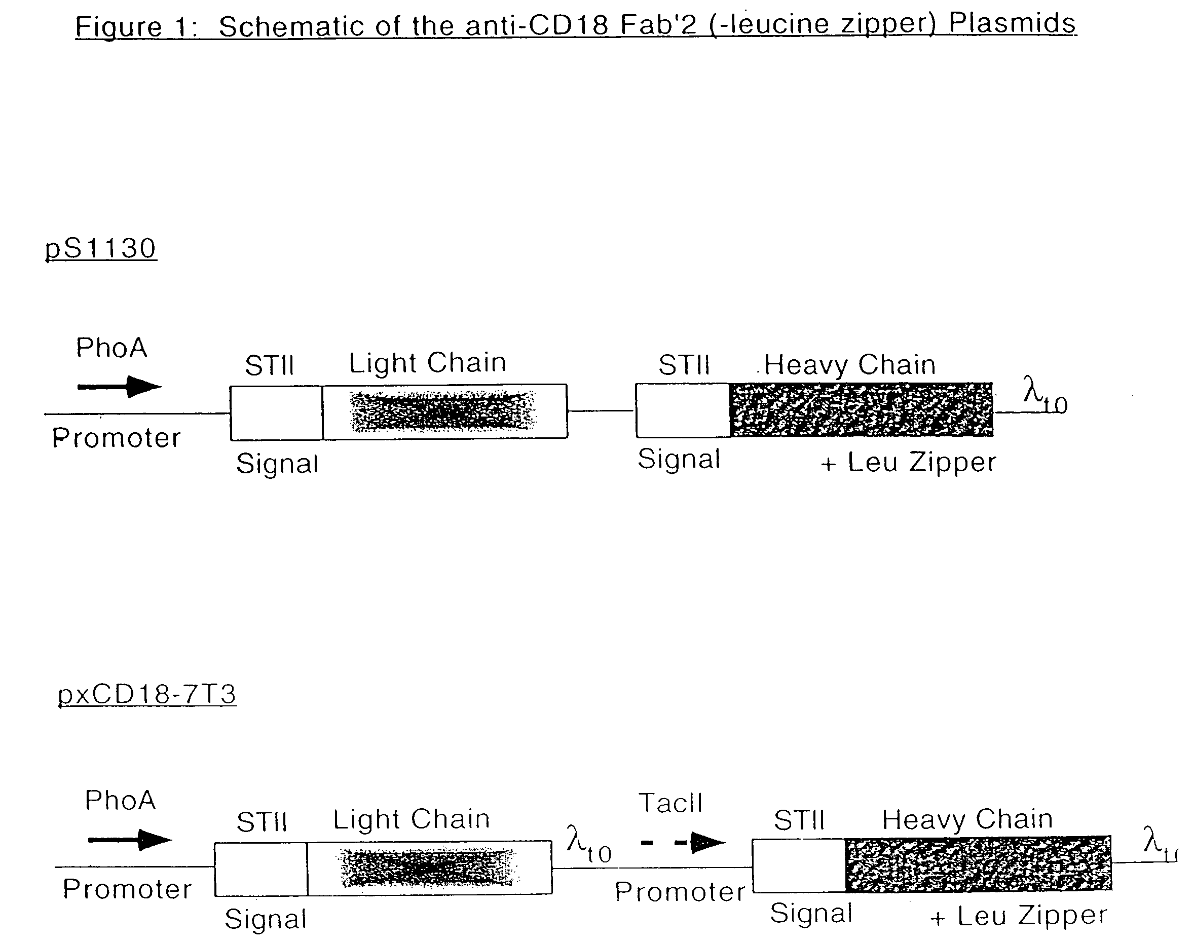 Purification of polypeptides