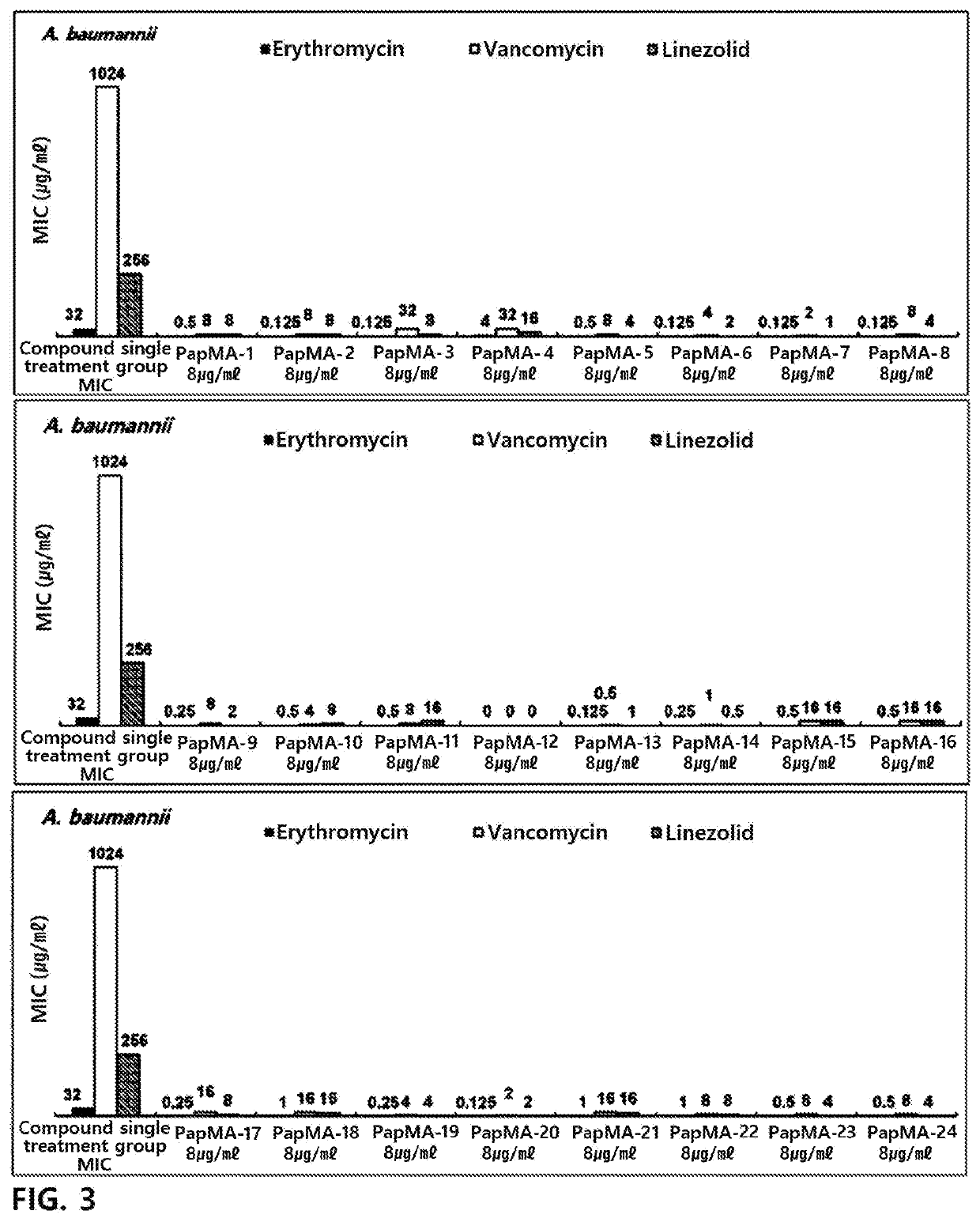 Antimicrobial peptide having synergistic antibacterial effect with antibiotics on multidrug resistant bacteria, and use thereof