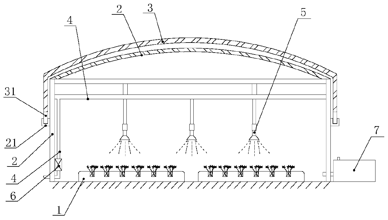 Seedling growing device and method of tree-form lonicera japonica