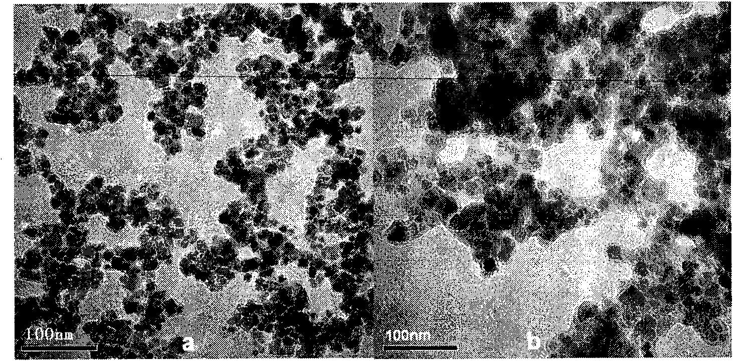 Preparation method and application of core-shell type Fe3O4/C magnetic nano solid extracting agent