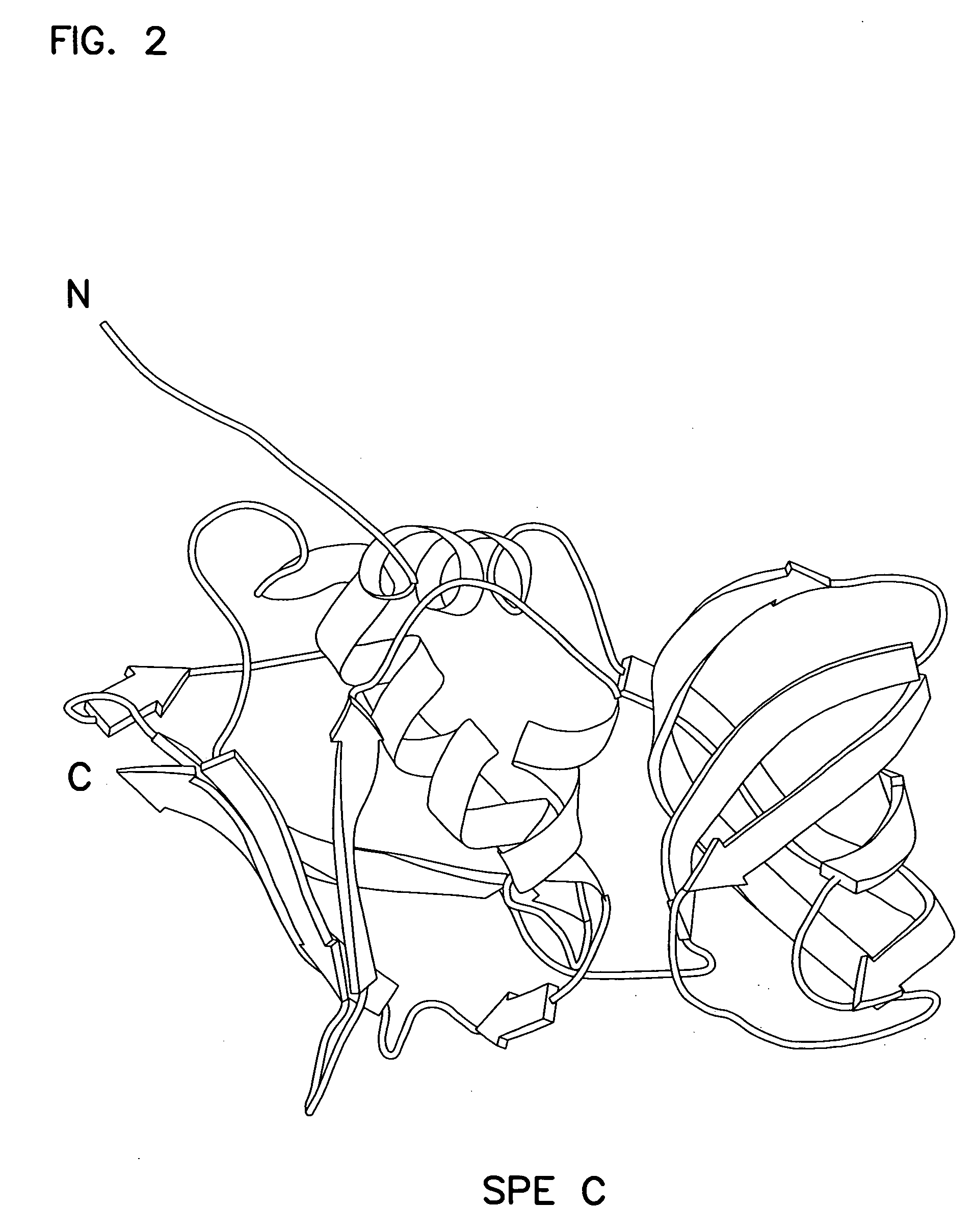 Mutants of streptococcal toxin C and methods of use