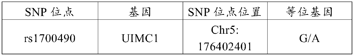 Use of UIMC1 gene as molecular marker for judging radiation injury susceptibility