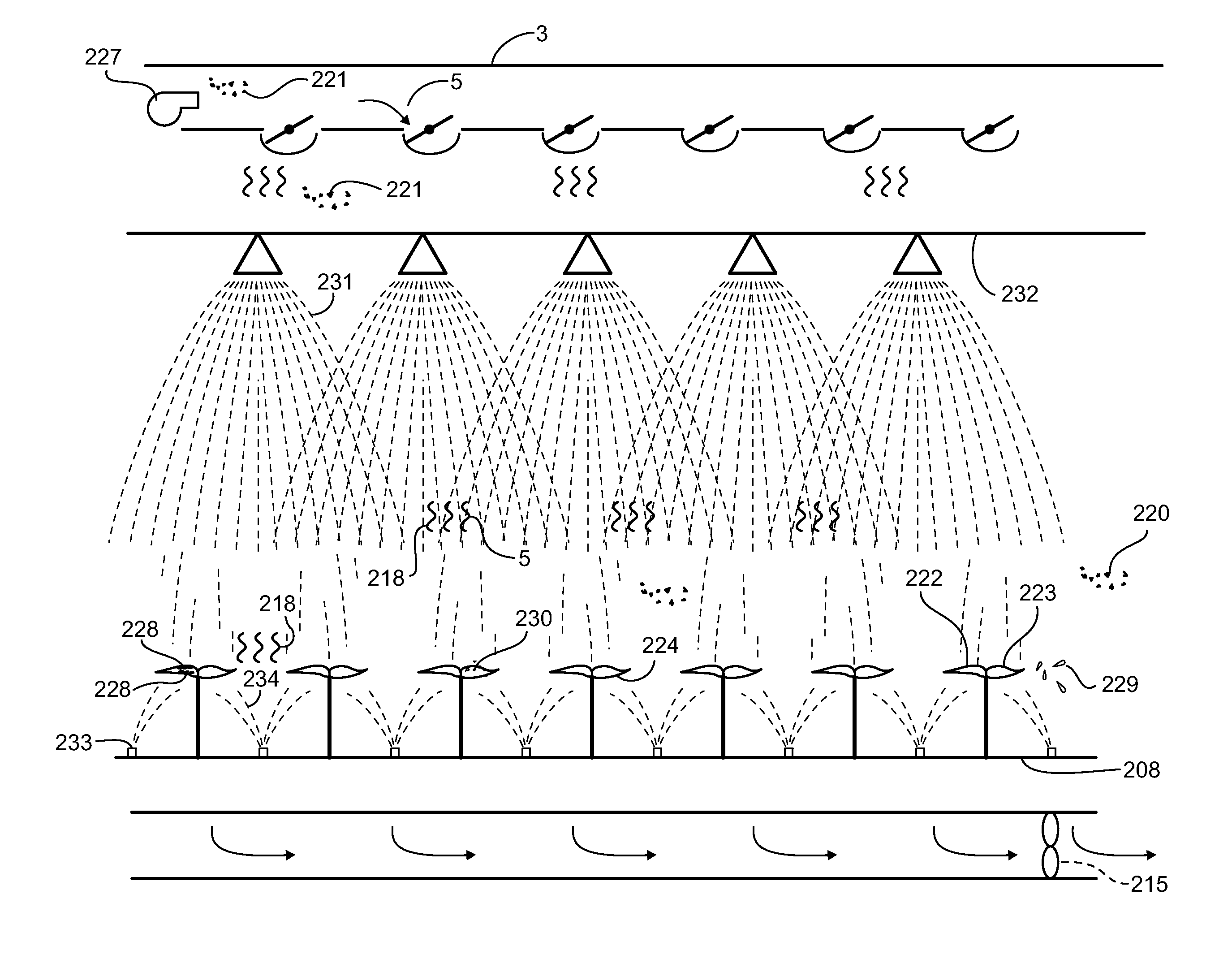 Plant Air Purification Enclosure Apparatus and Method