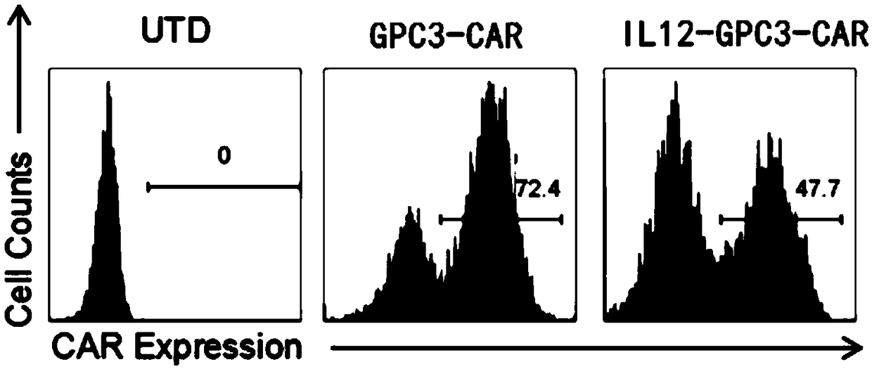 Immunologic effector cell targeting CPC3 and application thereof