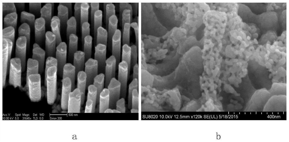 Method for preparing nanoporous silver by electrodeposition