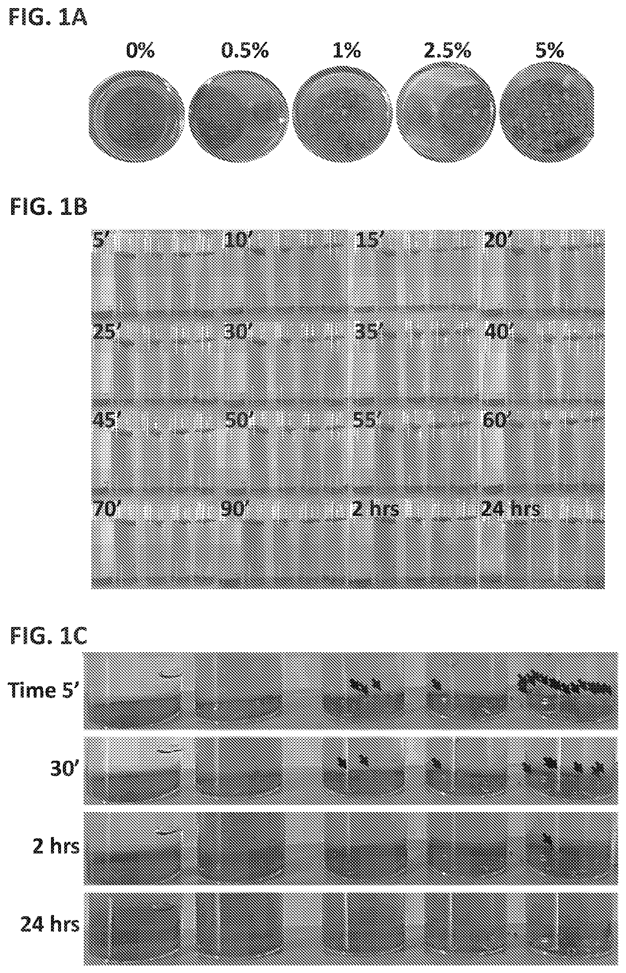 Compositions for controlling phytoplankton contamination