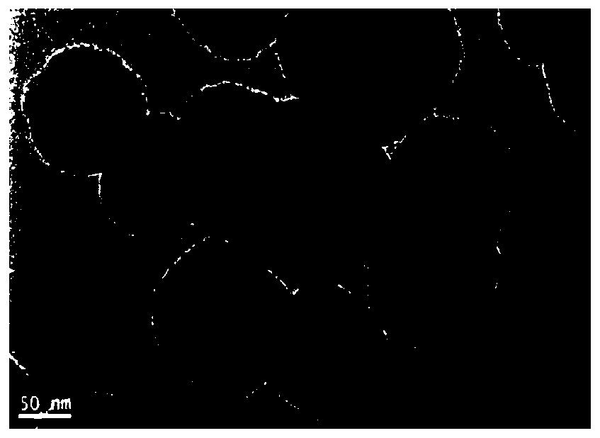 Nanocomposite particles and preparation method thereof