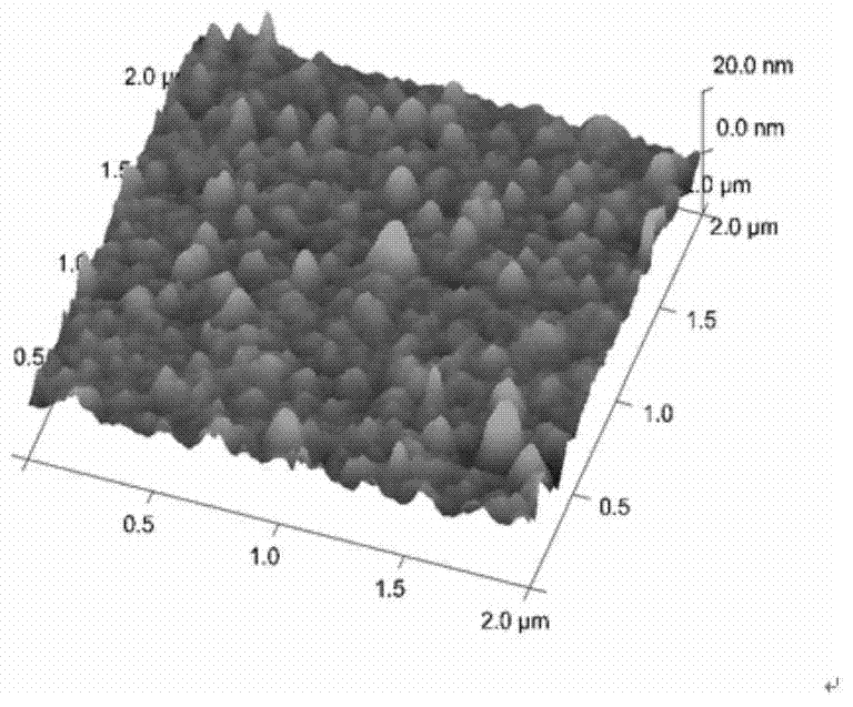 Preparation method and application of protein chip based on serological detection of syphilis