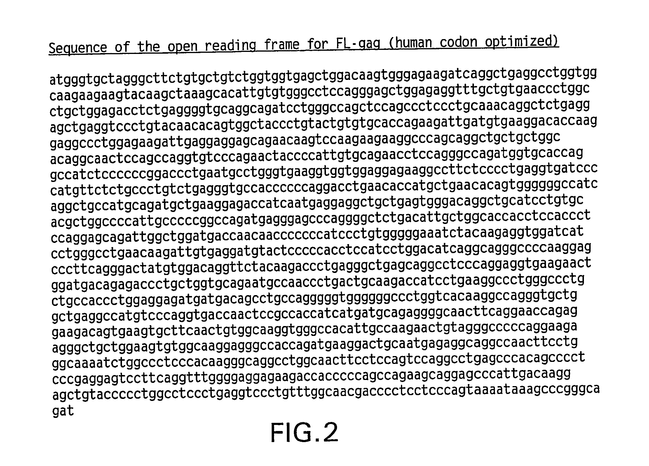 Method of inducing an enhanced immune response against hiv