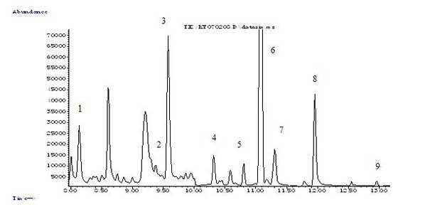 Detection method for simultaneously determining plurality of flavor substances in cigarette cut tobaccos