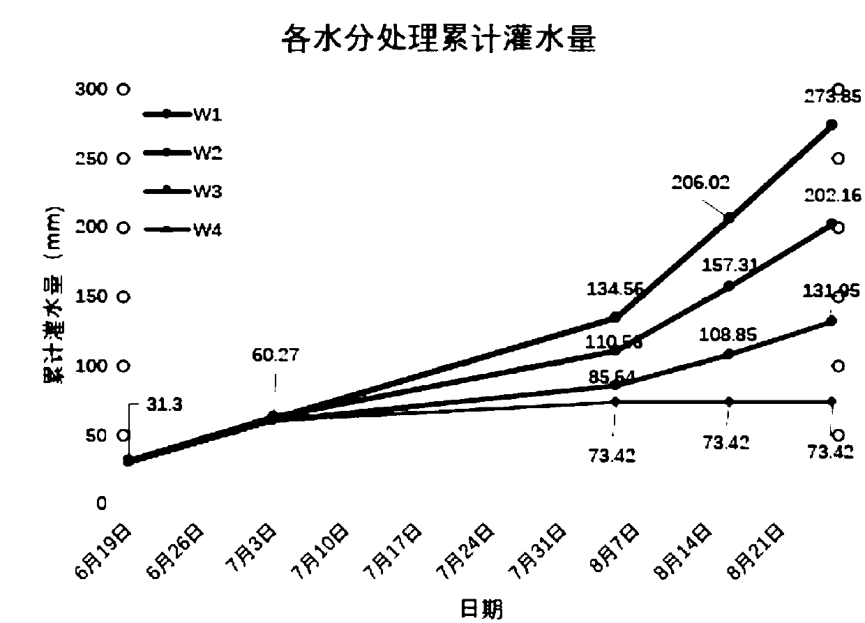 Method for regulating yield and growth shape of rice by virtue of water-fertilizer coupling