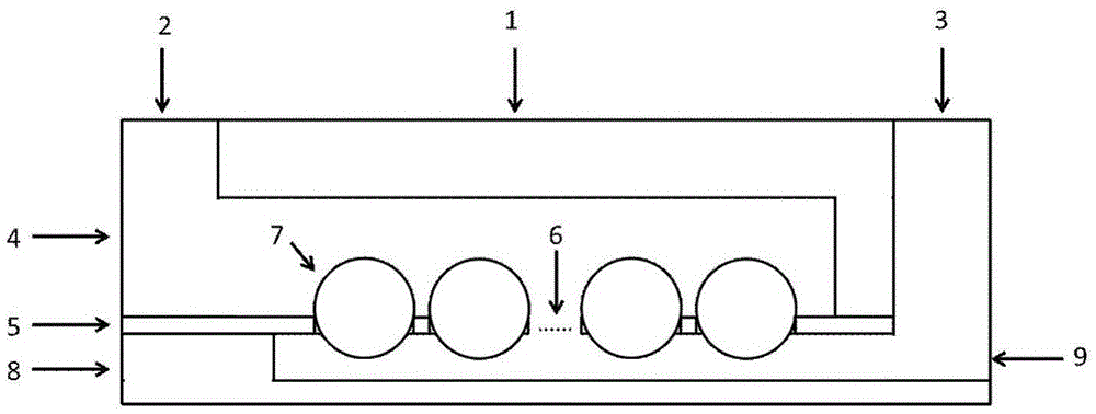 A microfluidic chip for nucleic acid sequencing