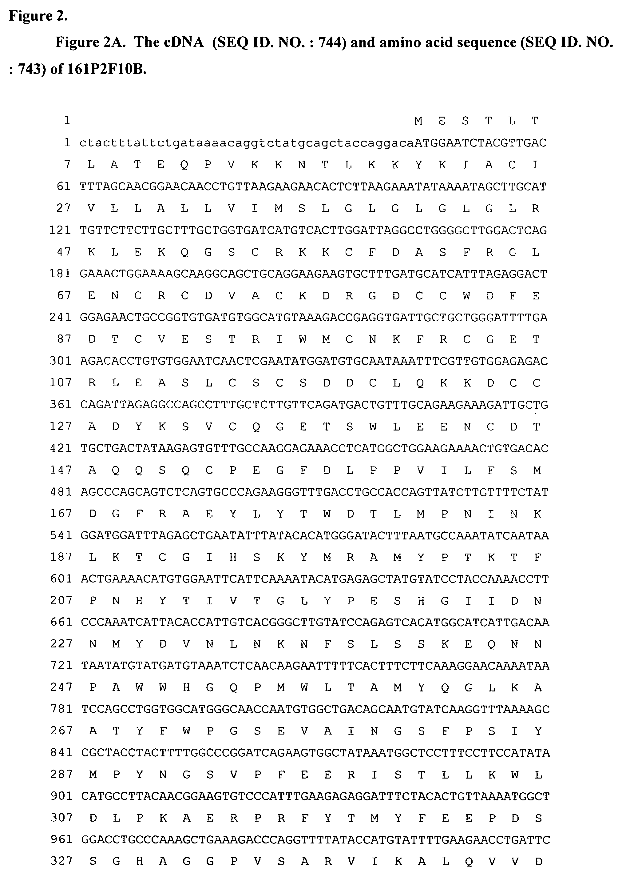 Nucleic acid and corresponding protein entitled 161P2F10B useful in treatment and detection of cancer