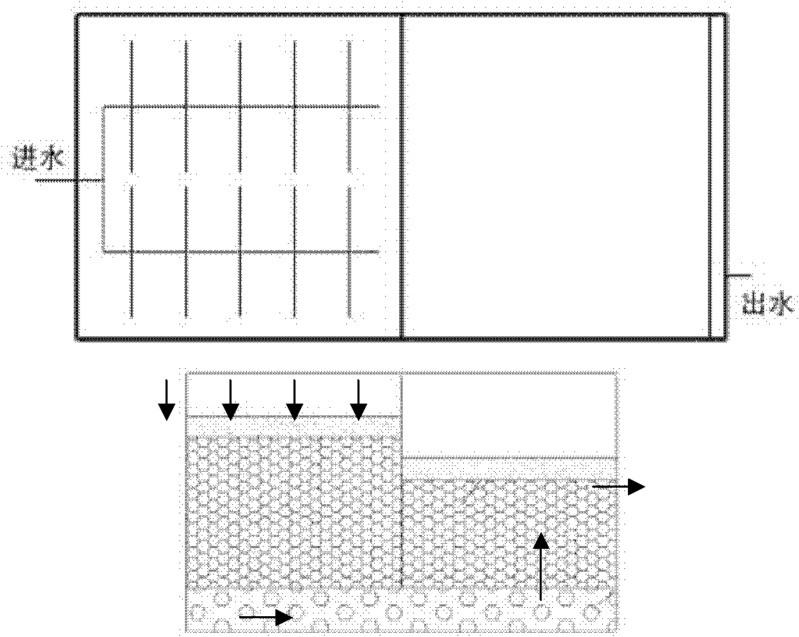 Alternate combined wetland system and method for efficiently removing nitrogen and phosphorus in urban wastewater