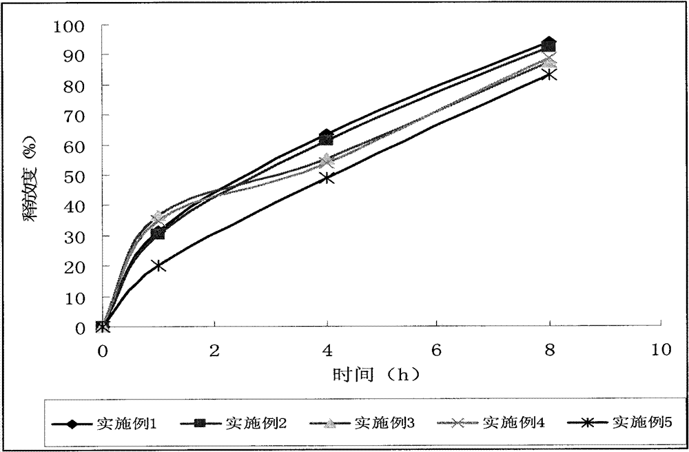 Allopurinol dual-release preparation and preparation method thereof