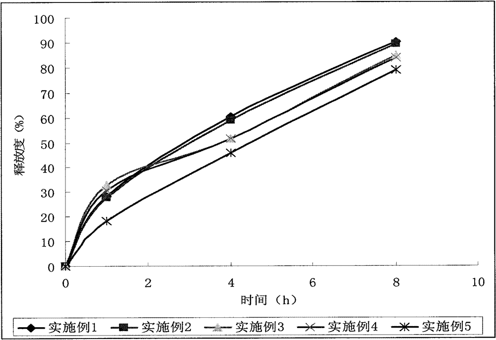 Allopurinol dual-release preparation and preparation method thereof