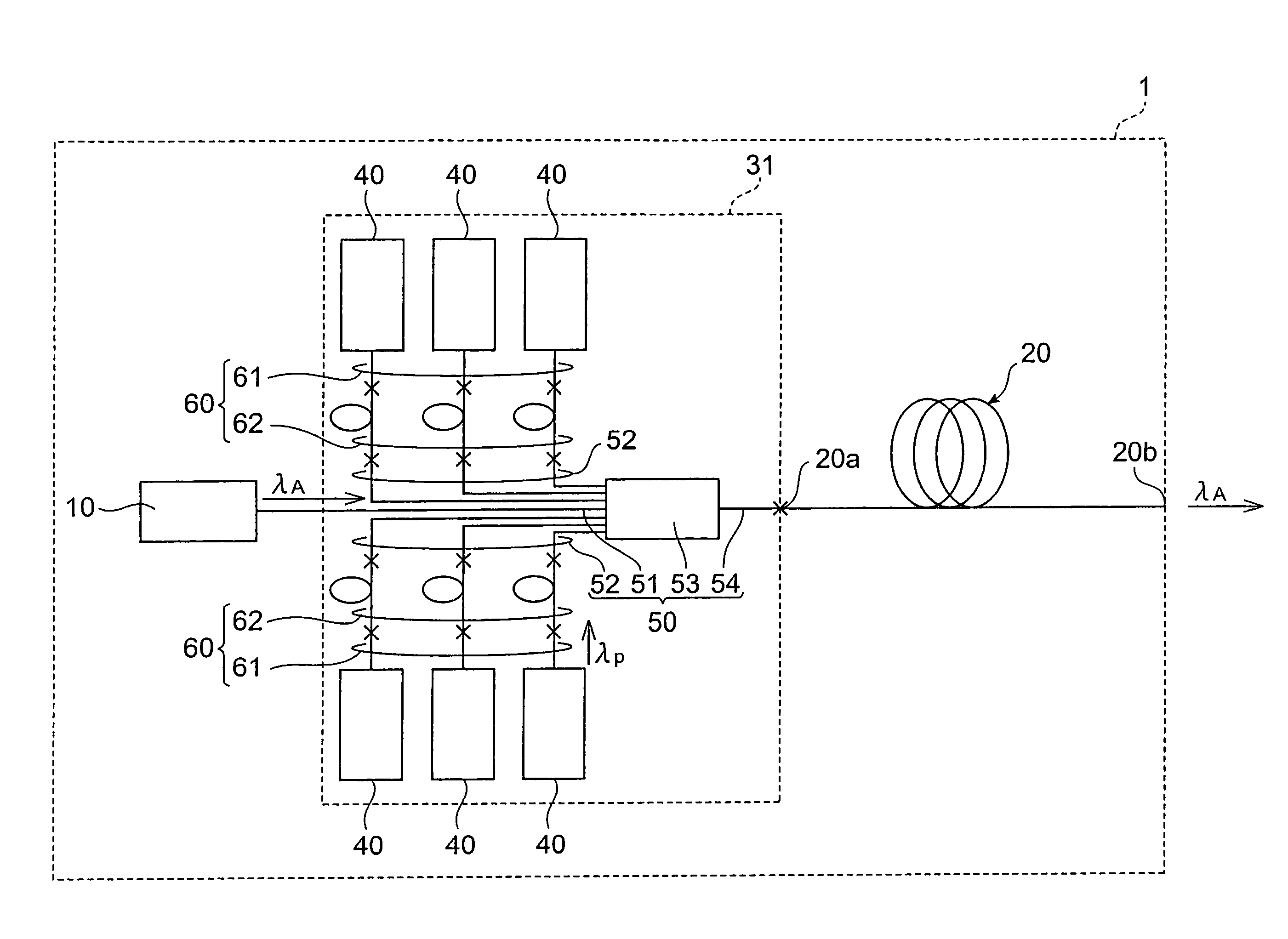 Optical module and optical amplification module