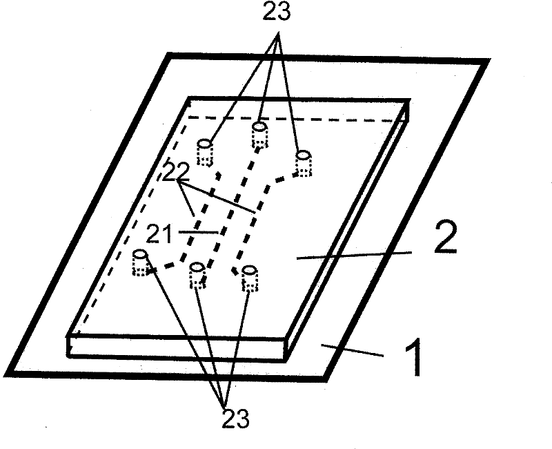 Device for establishing single-cell level connection between neurons and growth connecting method